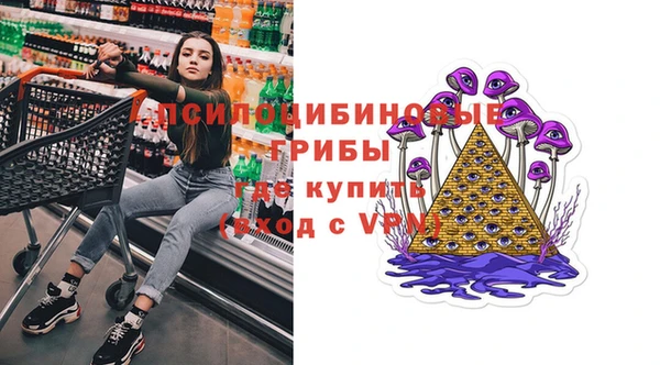дживик Гусев
