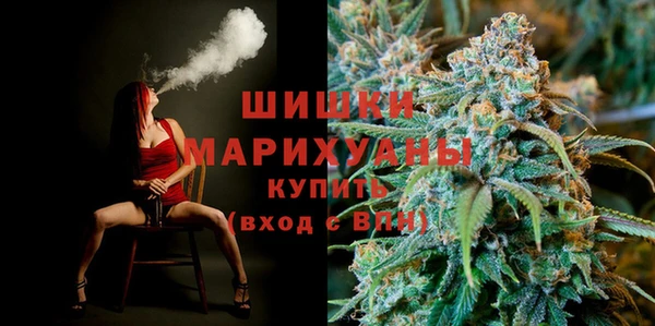 дживик Гусев