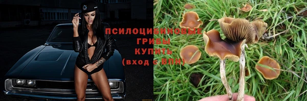 дживик Гусев
