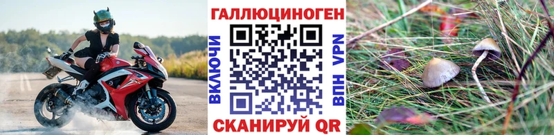 Псилоцибиновые грибы GOLDEN TEACHER  Нефтекамск 