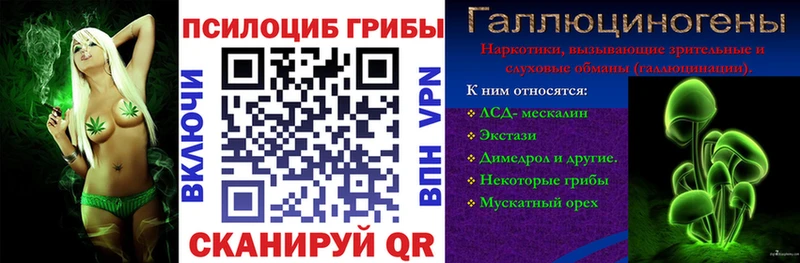 Псилоцибиновые грибы Psilocybine cubensis Нефтекамск